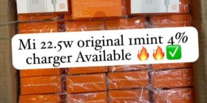 Mi 22.5 W Mobile Charger