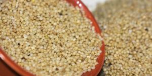 Unpolished Barnyard Millet Rice