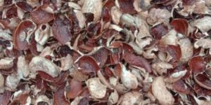 Cashew Husk