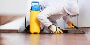 Residential Pest Control Services