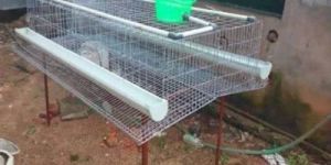 Galvanized Iron Mesh Poultry Cage