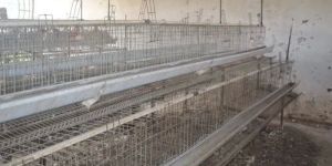 Galvanized Iron Poultry Grower Cage