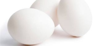 White Eggs