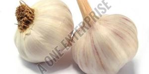 White Fresh Garlic