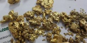 Gold Nuggets