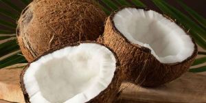 Coconut