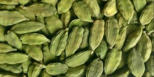 Green Cardamom