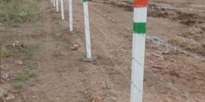 Mahakali Tar Fencing