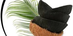 Coconut Shell Activated Carbon