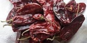 Kashmiri Red Chilli
