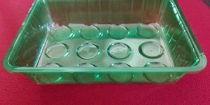 Mushroom Tray