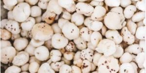 Organic Fox Nut
