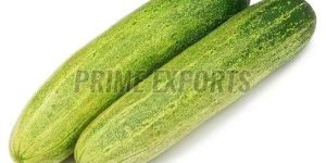 a Grade Cucumber