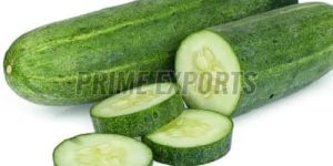 Fresh Cucumber