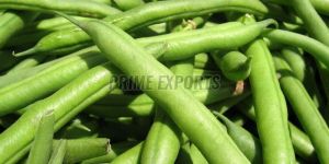 Fresh Green Beans