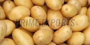 Fresh Potato