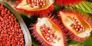 Annatto Seed