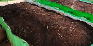 Vermicompost