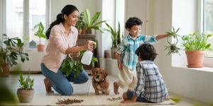 Cockroach Pest Control Service