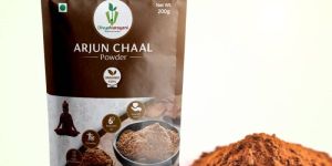 Arjun Chaal