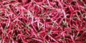 Guntur Red Chilli