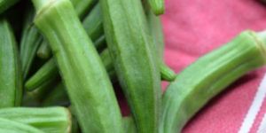 Okra