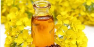 Mustard Oil