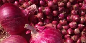 Red Onion