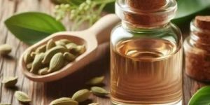 Cardamom Essential Oil