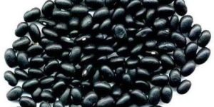 Black Beans