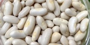 Cirio Cannellini White Beans