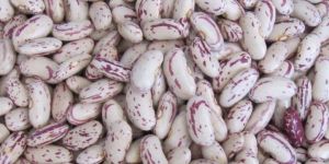 Light Speckled Kidney Beans