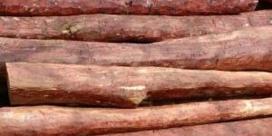a Grade Red Sandalwood Log