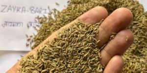Cumin Seed