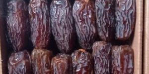 Medjool Dates