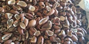Coconut Copra
