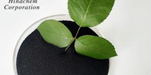 Seaweed Extract Powder