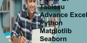 Data Analytics Course