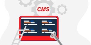 CMS Development