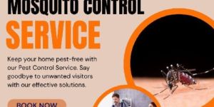 Mosquito Control Services