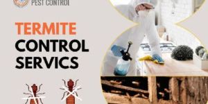Termite Pest Control Service
