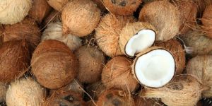 Coconut