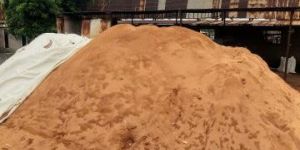 Sawdust Powder
