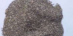 Chiya Seed
