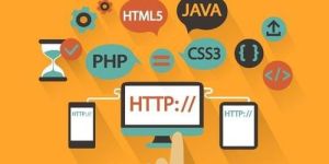 Customized Website Design Service