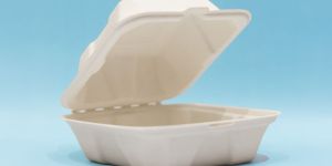 6 X 6 Clamshell Container No Compartments