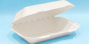 9 X 6 Clamshell No Compartments