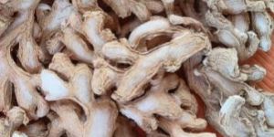 Dried Ginger