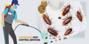 Pest Control Services