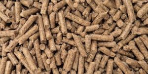 Biomass Pellet